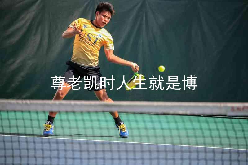 尊老凯时人生就是博